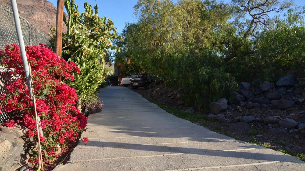 Casita La Palmera Valle Gran Rey Eksteriør bilde